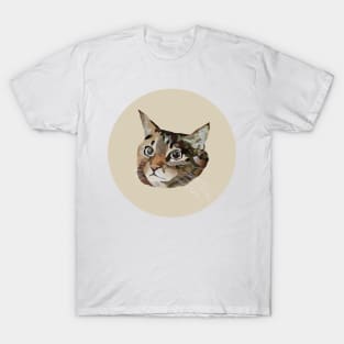 Ducky the Tabby T-Shirt